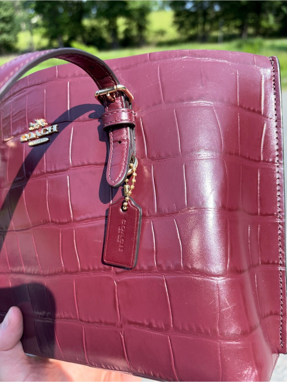 Authentic Coach Molly 25 Tote bag (measurement pictured) - Picture 6 of 13